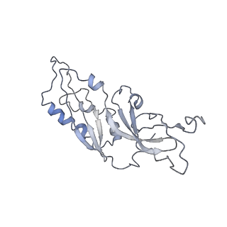 0048_6gqb_r_v1-4
Cryo-EM reconstruction of yeast 80S ribosome in complex with mRNA, tRNA and eEF2 (GDP+AlF4/sordarin)