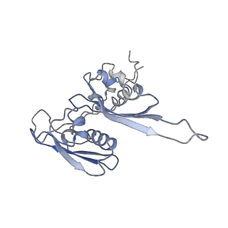 0048_6gqb_s_v1-4
Cryo-EM reconstruction of yeast 80S ribosome in complex with mRNA, tRNA and eEF2 (GDP+AlF4/sordarin)