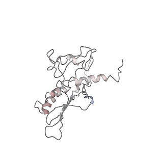 0048_6gqb_t_v1-4
Cryo-EM reconstruction of yeast 80S ribosome in complex with mRNA, tRNA and eEF2 (GDP+AlF4/sordarin)