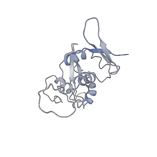 0048_6gqb_x_v1-4
Cryo-EM reconstruction of yeast 80S ribosome in complex with mRNA, tRNA and eEF2 (GDP+AlF4/sordarin)