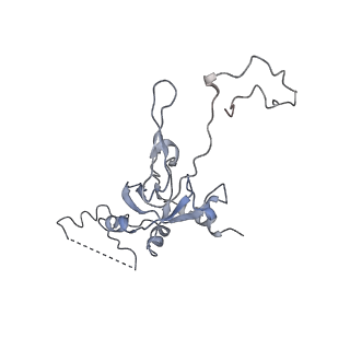 0048_6gqb_y_v1-4
Cryo-EM reconstruction of yeast 80S ribosome in complex with mRNA, tRNA and eEF2 (GDP+AlF4/sordarin)