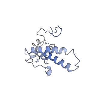 0049_6gqv_AD_v1-1
Cryo-EM recosntruction of yeast 80S ribosome in complex with mRNA, tRNA and eEF2 (GMPPCP)