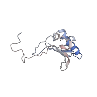 0049_6gqv_AE_v1-1
Cryo-EM recosntruction of yeast 80S ribosome in complex with mRNA, tRNA and eEF2 (GMPPCP)