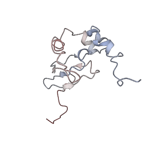 0049_6gqv_AF_v1-1
Cryo-EM recosntruction of yeast 80S ribosome in complex with mRNA, tRNA and eEF2 (GMPPCP)