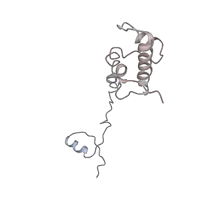 0049_6gqv_AH_v1-1
Cryo-EM recosntruction of yeast 80S ribosome in complex with mRNA, tRNA and eEF2 (GMPPCP)