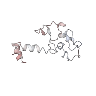 0049_6gqv_AI_v1-1
Cryo-EM recosntruction of yeast 80S ribosome in complex with mRNA, tRNA and eEF2 (GMPPCP)