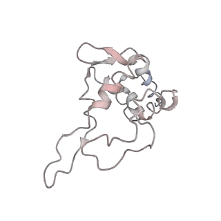 0049_6gqv_AJ_v1-1
Cryo-EM recosntruction of yeast 80S ribosome in complex with mRNA, tRNA and eEF2 (GMPPCP)