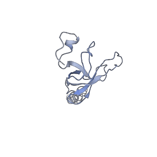 0049_6gqv_AN_v1-1
Cryo-EM recosntruction of yeast 80S ribosome in complex with mRNA, tRNA and eEF2 (GMPPCP)