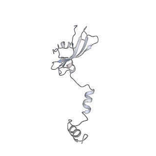 0049_6gqv_AO_v1-1
Cryo-EM recosntruction of yeast 80S ribosome in complex with mRNA, tRNA and eEF2 (GMPPCP)