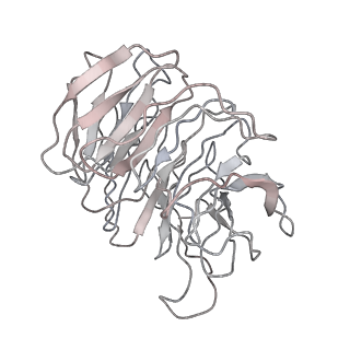 0049_6gqv_AV_v1-1
Cryo-EM recosntruction of yeast 80S ribosome in complex with mRNA, tRNA and eEF2 (GMPPCP)