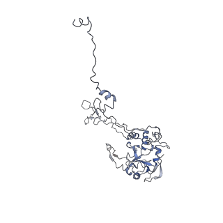 0049_6gqv_C_v1-1
Cryo-EM recosntruction of yeast 80S ribosome in complex with mRNA, tRNA and eEF2 (GMPPCP)