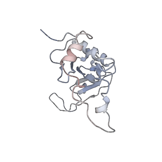 0049_6gqv_J_v1-1
Cryo-EM recosntruction of yeast 80S ribosome in complex with mRNA, tRNA and eEF2 (GMPPCP)