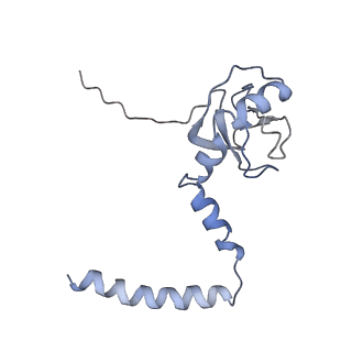 0049_6gqv_M_v1-1
Cryo-EM recosntruction of yeast 80S ribosome in complex with mRNA, tRNA and eEF2 (GMPPCP)
