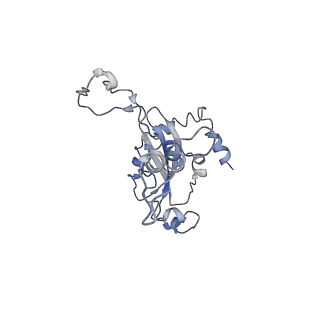 0049_6gqv_N_v1-1
Cryo-EM recosntruction of yeast 80S ribosome in complex with mRNA, tRNA and eEF2 (GMPPCP)
