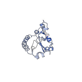 0049_6gqv_O_v1-1
Cryo-EM recosntruction of yeast 80S ribosome in complex with mRNA, tRNA and eEF2 (GMPPCP)
