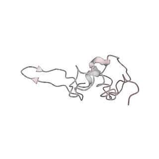 0049_6gqv_P2_v1-1
Cryo-EM recosntruction of yeast 80S ribosome in complex with mRNA, tRNA and eEF2 (GMPPCP)