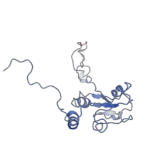 0049_6gqv_Q_v1-1
Cryo-EM recosntruction of yeast 80S ribosome in complex with mRNA, tRNA and eEF2 (GMPPCP)