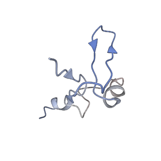 0049_6gqv_W_v1-1
Cryo-EM recosntruction of yeast 80S ribosome in complex with mRNA, tRNA and eEF2 (GMPPCP)