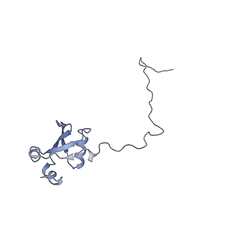 0049_6gqv_X_v1-1
Cryo-EM recosntruction of yeast 80S ribosome in complex with mRNA, tRNA and eEF2 (GMPPCP)