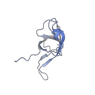 0049_6gqv_f_v1-1
Cryo-EM recosntruction of yeast 80S ribosome in complex with mRNA, tRNA and eEF2 (GMPPCP)