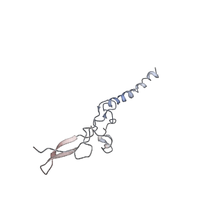 0049_6gqv_g_v1-1
Cryo-EM recosntruction of yeast 80S ribosome in complex with mRNA, tRNA and eEF2 (GMPPCP)