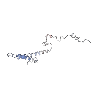 0049_6gqv_h_v1-1
Cryo-EM recosntruction of yeast 80S ribosome in complex with mRNA, tRNA and eEF2 (GMPPCP)