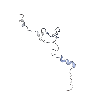 0049_6gqv_j_v1-1
Cryo-EM recosntruction of yeast 80S ribosome in complex with mRNA, tRNA and eEF2 (GMPPCP)