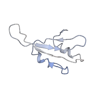 0049_6gqv_k_v1-1
Cryo-EM recosntruction of yeast 80S ribosome in complex with mRNA, tRNA and eEF2 (GMPPCP)