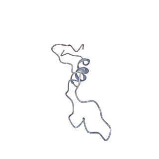 0049_6gqv_l_v1-1
Cryo-EM recosntruction of yeast 80S ribosome in complex with mRNA, tRNA and eEF2 (GMPPCP)