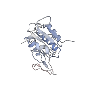 0049_6gqv_q_v1-1
Cryo-EM recosntruction of yeast 80S ribosome in complex with mRNA, tRNA and eEF2 (GMPPCP)