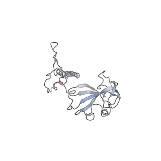 0049_6gqv_w_v1-1
Cryo-EM recosntruction of yeast 80S ribosome in complex with mRNA, tRNA and eEF2 (GMPPCP)