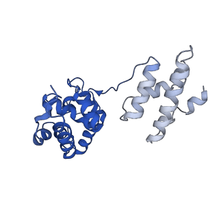 34198_8gq5_B_v1-0
Human SARM1 bounded with NMN and Nanobody-C6, double-layer structure