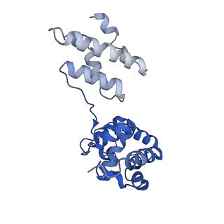 34198_8gq5_D_v1-0
Human SARM1 bounded with NMN and Nanobody-C6, double-layer structure