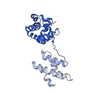 34198_8gq5_H_v1-0
Human SARM1 bounded with NMN and Nanobody-C6, double-layer structure