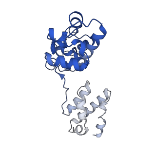 34198_8gq5_O_v1-0
Human SARM1 bounded with NMN and Nanobody-C6, double-layer structure