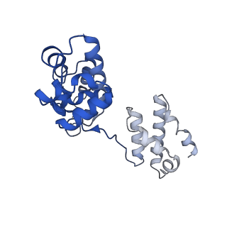 34198_8gq5_P_v1-0
Human SARM1 bounded with NMN and Nanobody-C6, double-layer structure