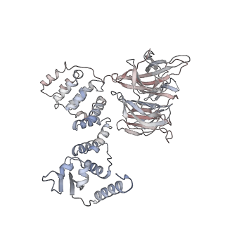 34199_8gq6_A_v1-1
Cryo-EM Structure of the KBTBD2-CUL3-Rbx1 dimeric complex