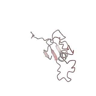 34199_8gq6_D_v1-1
Cryo-EM Structure of the KBTBD2-CUL3-Rbx1 dimeric complex