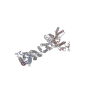 34199_8gq6_F_v1-0
Cryo-EM Structure of the KBTBD2-CUL3-Rbx1 dimeric complex