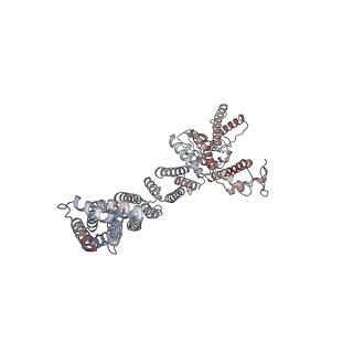 34199_8gq6_F_v1-1
Cryo-EM Structure of the KBTBD2-CUL3-Rbx1 dimeric complex