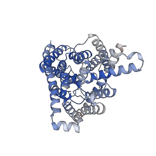 34202_8gqu_A_v1-1
AK-42 inhibitor binding human ClC-2 TMD