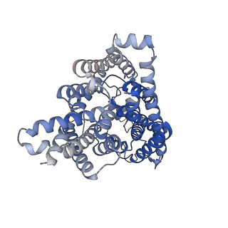 34202_8gqu_B_v1-1
AK-42 inhibitor binding human ClC-2 TMD