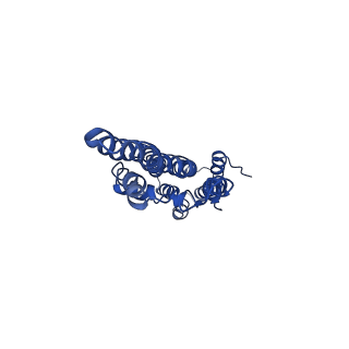 34203_8gqy_A_v1-1
CryoEM structure of pentameric MotA from Aquifex aeolicus