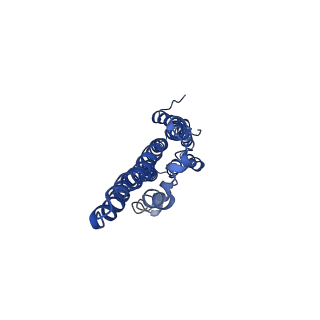 34203_8gqy_B_v1-1
CryoEM structure of pentameric MotA from Aquifex aeolicus