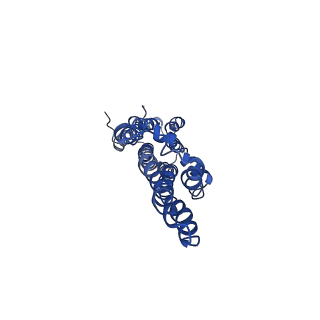 34203_8gqy_C_v1-1
CryoEM structure of pentameric MotA from Aquifex aeolicus