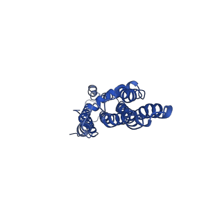 34203_8gqy_D_v1-1
CryoEM structure of pentameric MotA from Aquifex aeolicus