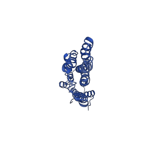 34203_8gqy_E_v1-1
CryoEM structure of pentameric MotA from Aquifex aeolicus