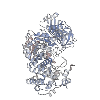 9535_5gqh_A_v1-2
Cryo-EM structure of PaeCas3-AcrF3 complex