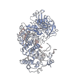 9535_5gqh_A_v1-3
Cryo-EM structure of PaeCas3-AcrF3 complex