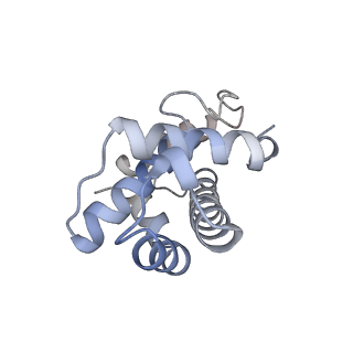 9535_5gqh_C_v1-3
Cryo-EM structure of PaeCas3-AcrF3 complex